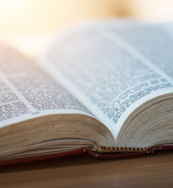 (en visio) La Parole de Dieu : qu’est-ce à dire ? François CASSINGENA-TREVEDY