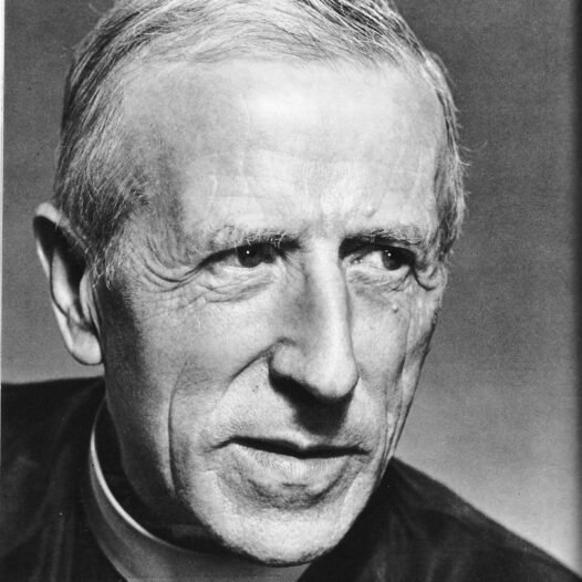 Le christianisme aujourd&rsquo;hui à la lumière de Teilhard de Chardin