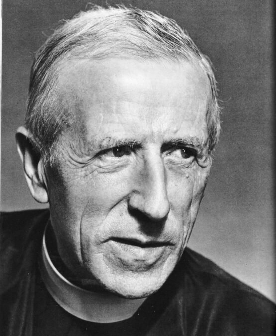 Le christianisme aujourd&rsquo;hui à la lumière de Teilhard de Chardin